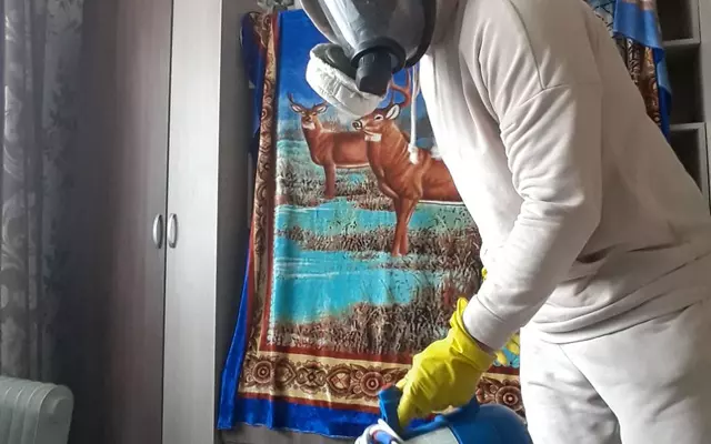 Чкаловский район. Тараканы.